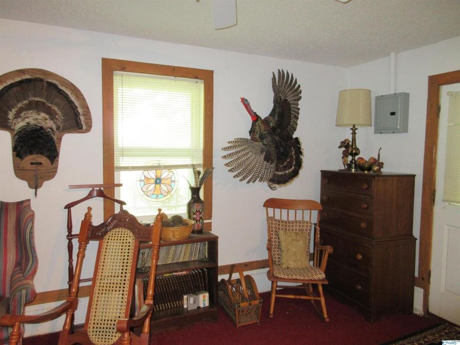 Property Image 37