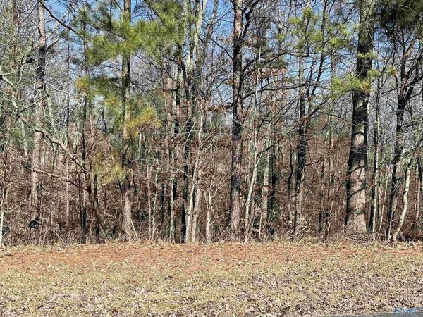 Lot 19 Lot 19 Deer Walk, Guntersville, AL 35976