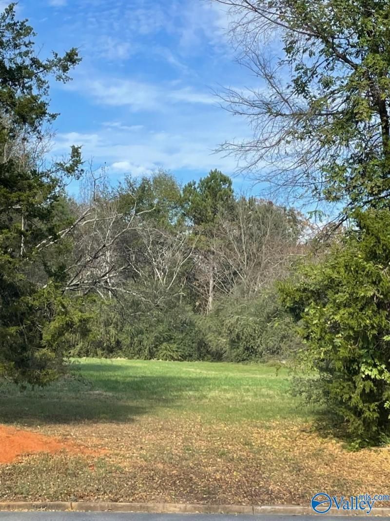 Lot Byler Road, Moulton, AL 35650 Main Photo