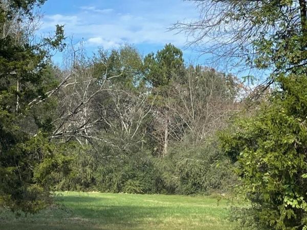 Lot Byler Road, Moulton, AL 35650