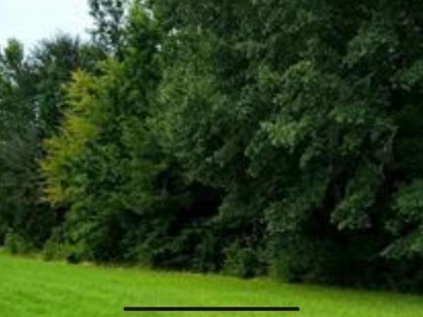 2 Clairvaux Drive, Gadsden, AL 35901