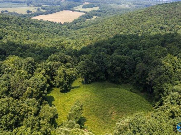 44 Highway 117, Flat Rock, AL 35966