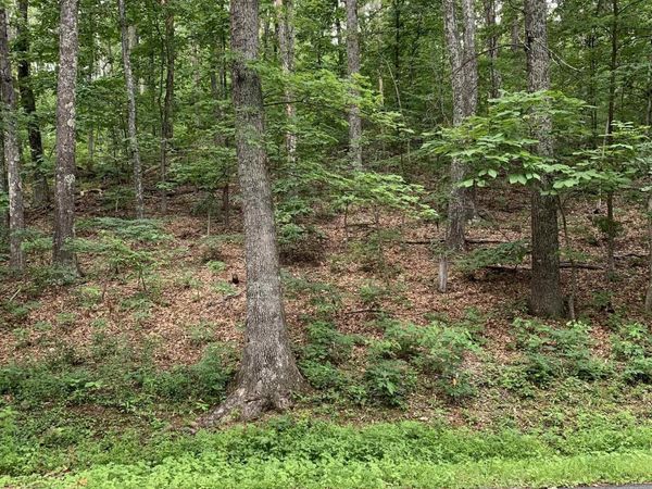 32 CHESTNUT LN, Unit 32, WINTERGREEN, VA 22958