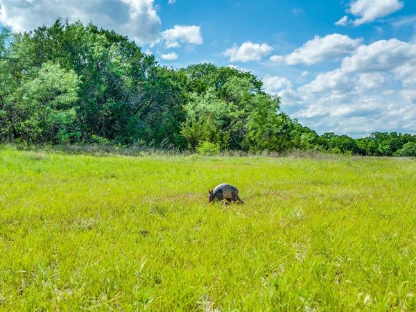 TBD County Road 175, Stephenville, TX 76401