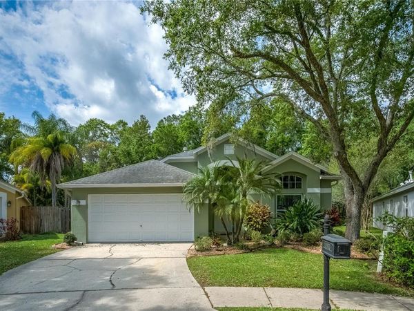 11933 DERBYSHIRE DRIVE, TAMPA, FL 33626