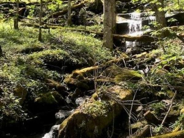 976 Slippery Rock Road, Waynesville, NC 28785