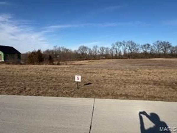 1017 Quail Grove Circle (Lot 5), O'Fallon, MO 63366