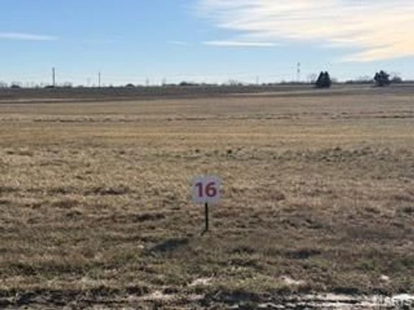 1024 Quail Grove Circle (Lot 16), O'Fallon, MO 63366
