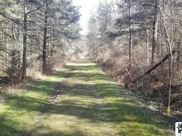 6266 Bluebird Lane, Leon, NY 14751