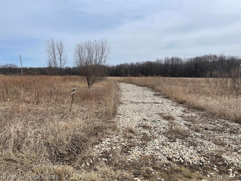 13176 Henderson Road, Forest Township, MI 48464 Main Photo