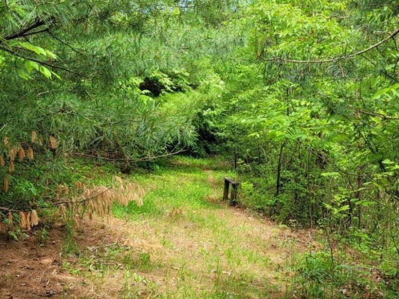 12858 Green Chapel Road, Johnstown, OH 43031 Photo 22