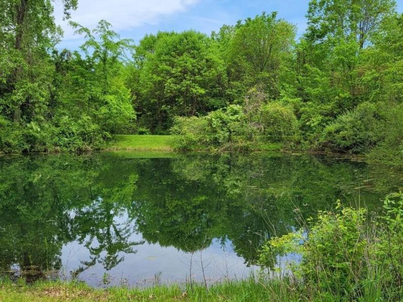 12858 Green Chapel Road, Johnstown, OH 43031 Photo 24