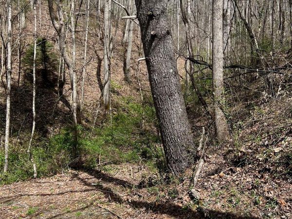 Lots 302,304 N Country Club Drive, Cullowhee, NC 28723