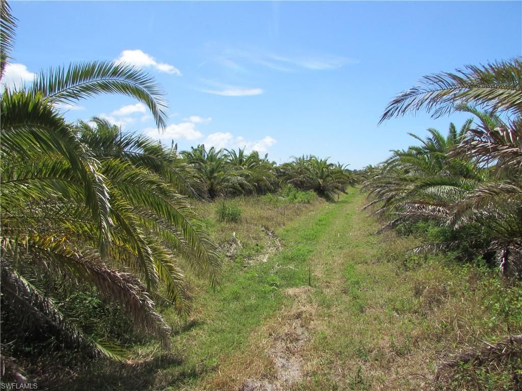 13350 Stringfellow Rd, Bokeelia, FL 33922 Photo