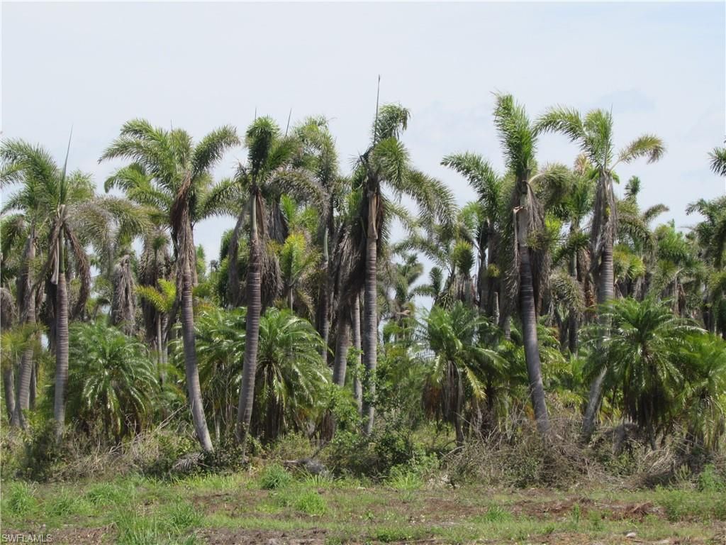 13350 Stringfellow Rd, Bokeelia, FL 33922 Photo