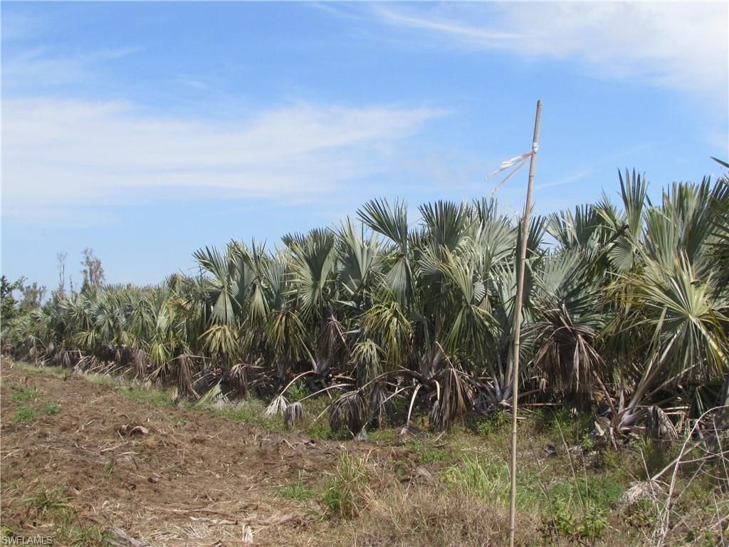 13350 Stringfellow Rd, Bokeelia, FL 33922 Photo