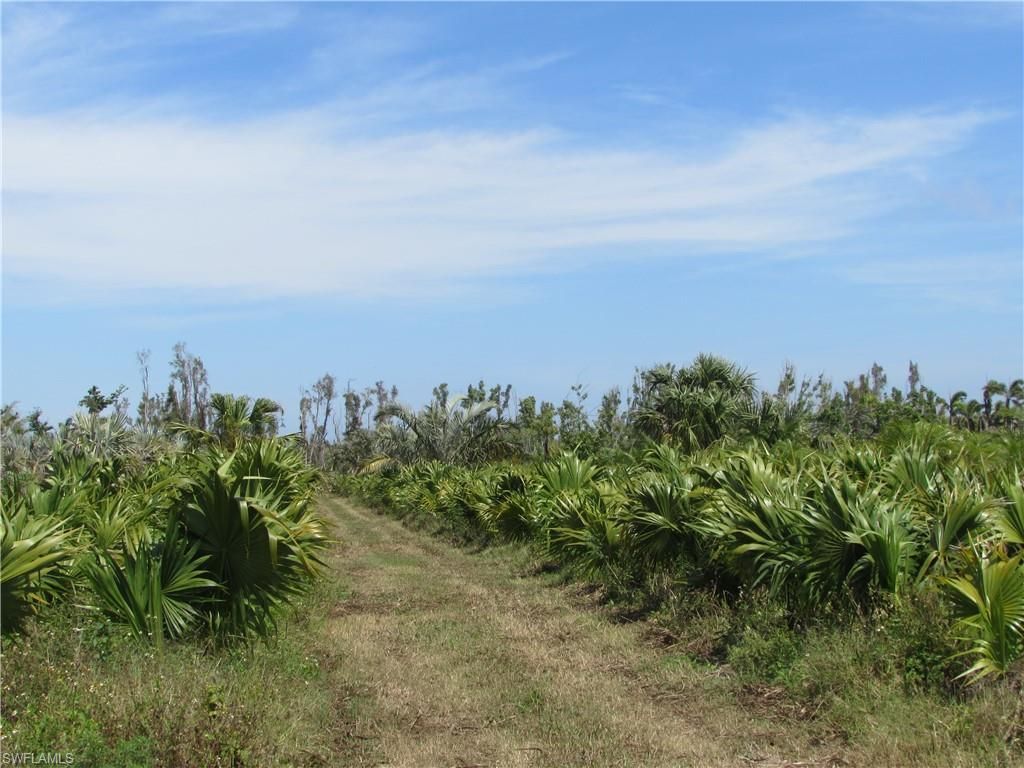 13350 Stringfellow Rd, Bokeelia, FL 33922 Photo