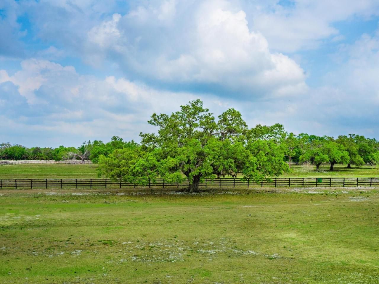 0396014400, Venice, FL 34292 Photo