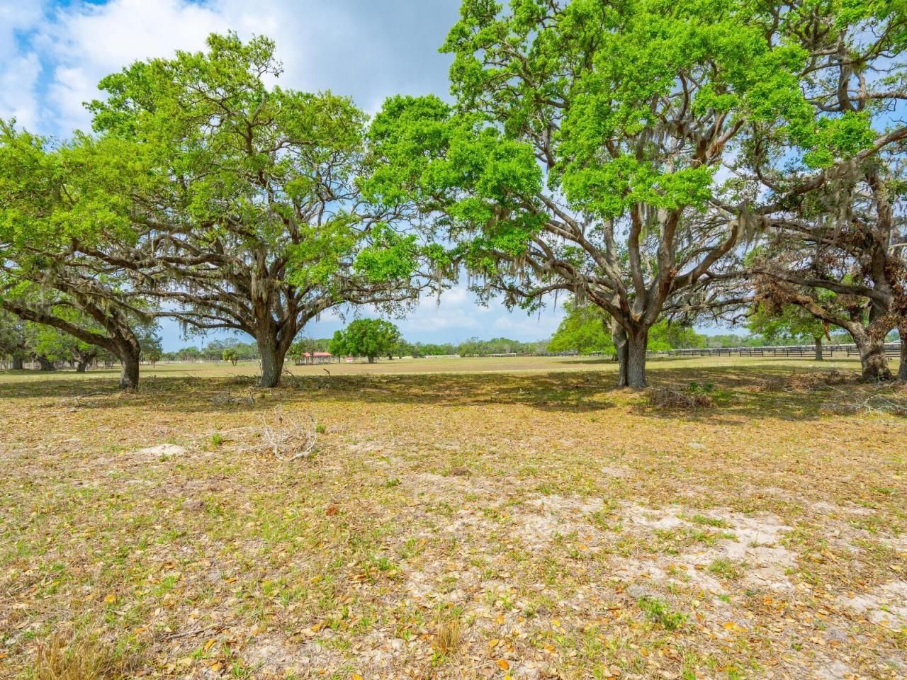 0396014400, Venice, FL 34292 Photo