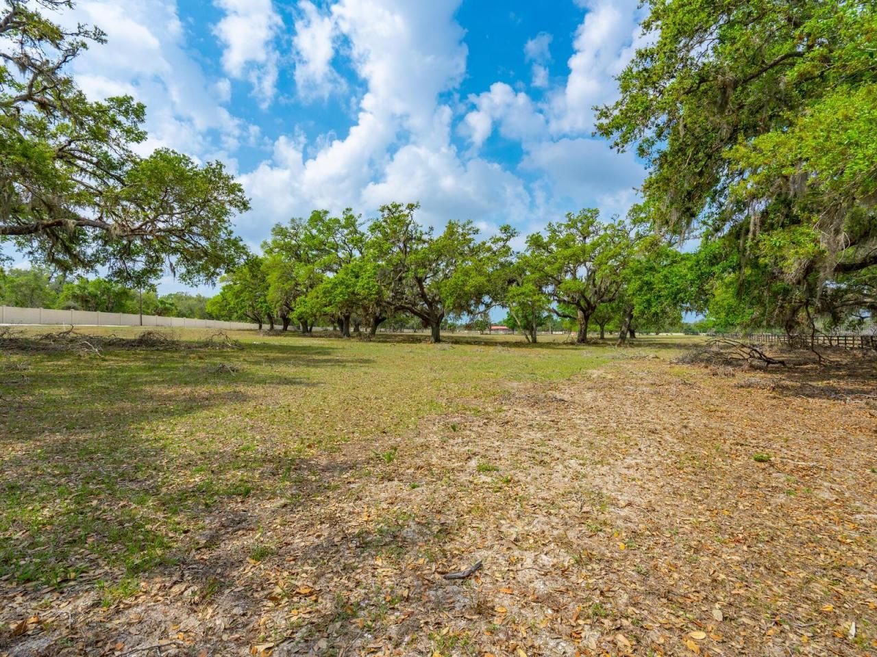 0396014400, Venice, FL 34292 Photo