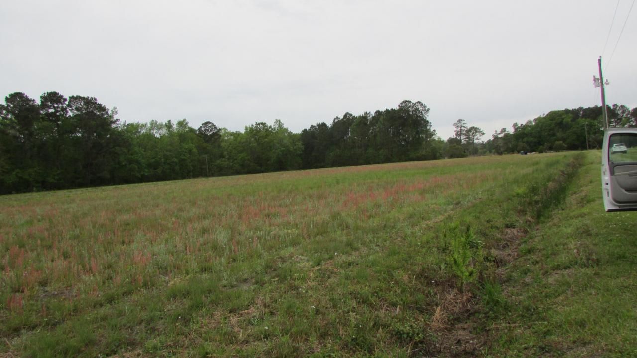 0 Benjamin Road Photo 2