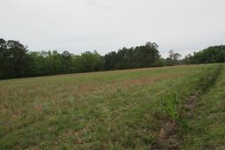 0 Benjamin Road photo 4