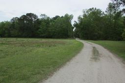 0 Benjamin Road photo 4