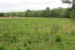 0 Benjamin Road photo 4