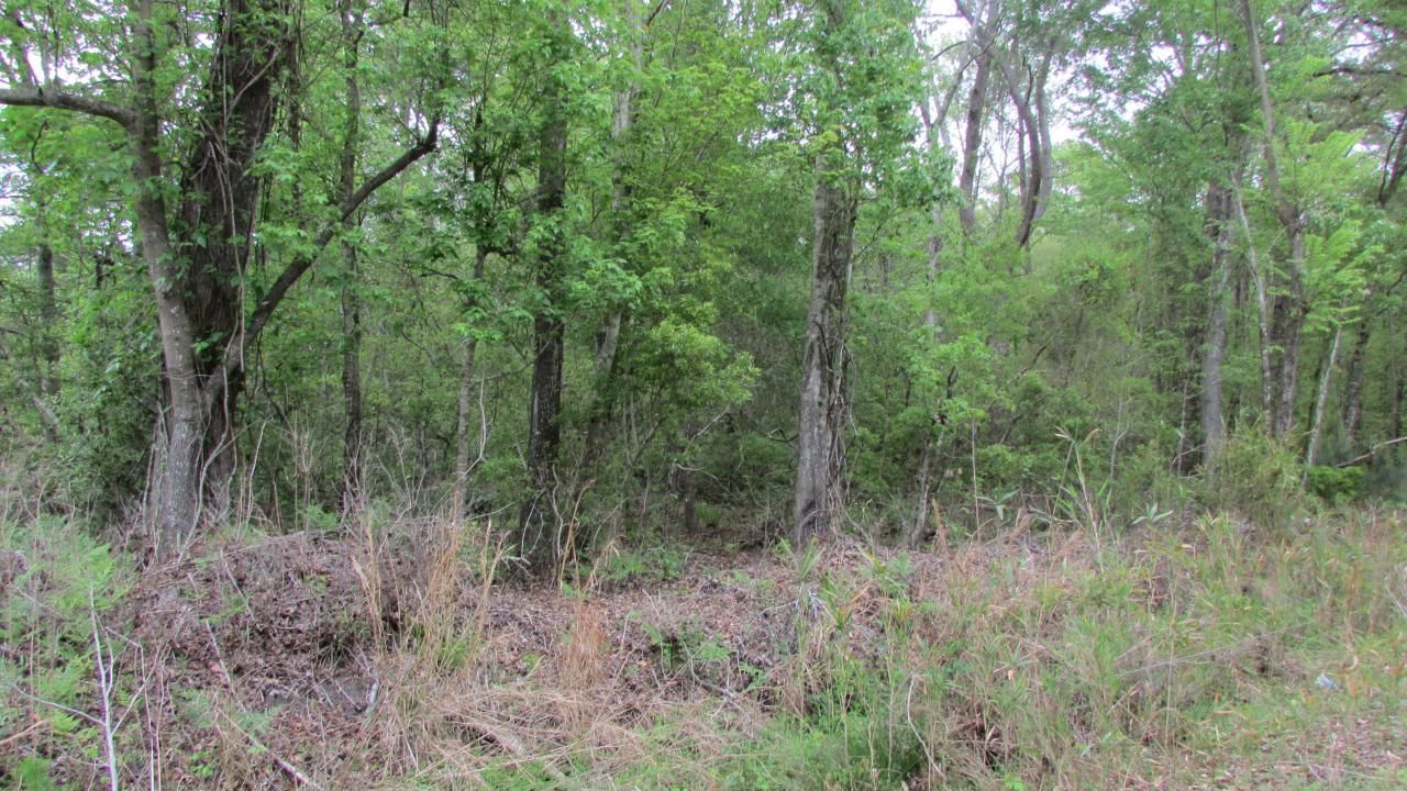 0 Benjamin Road Photo 6