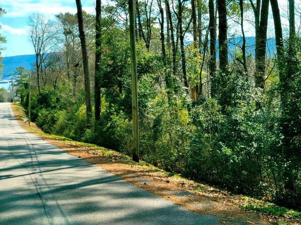 11 Richardson Street, Guntersville, AL 35976