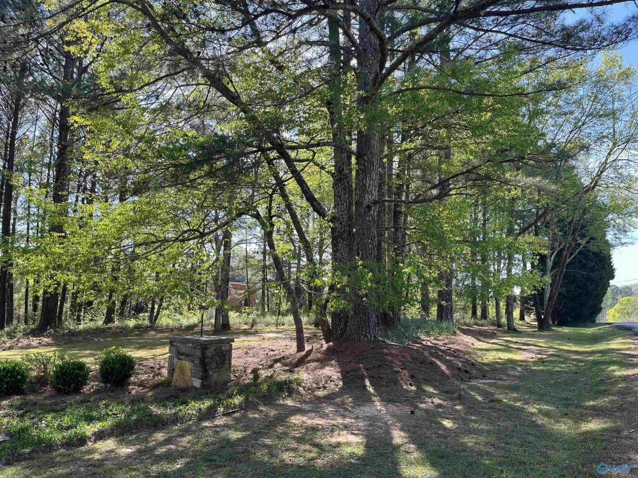 Lot 1 Beech Ridge, Gadsden, AL 35901 Main Photo