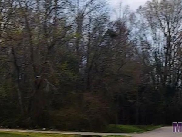 Lot 81 Dianna Dr, Baton Rouge, LA 70811