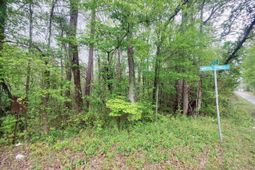 Mineral Springs Road photo 4