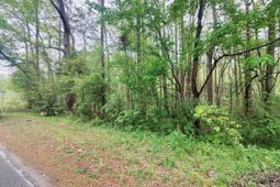 Mineral Springs Road photo 4