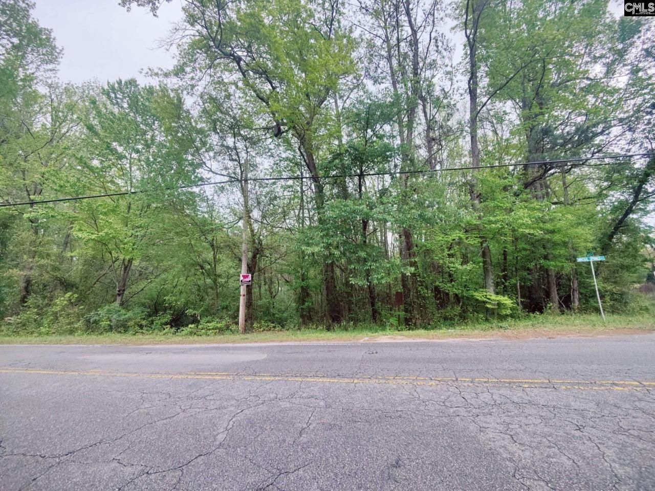 Mineral Springs Road Photo 5