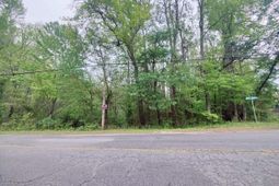 Mineral Springs Road photo 4