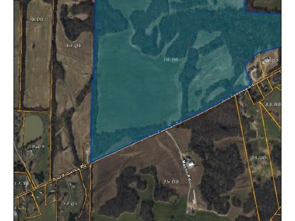 0 BUD EUBANK RD, Stanton, TN 38069