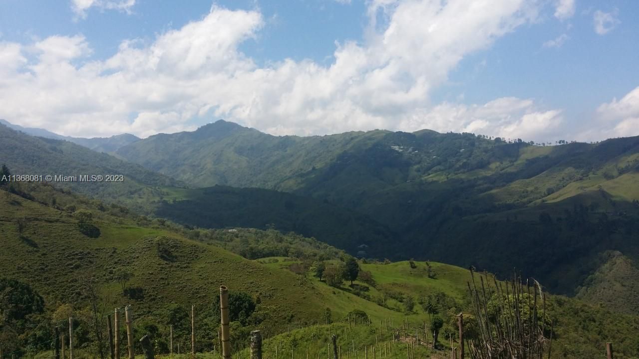 Kilometro 4 Via Salento, Toche, Quindio, , SA 00000 Photo