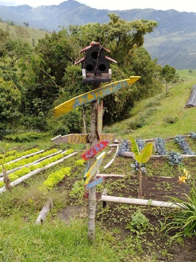 Kilometro 4 Via Salento, Toche, Quindio, , SA 00000 Photo