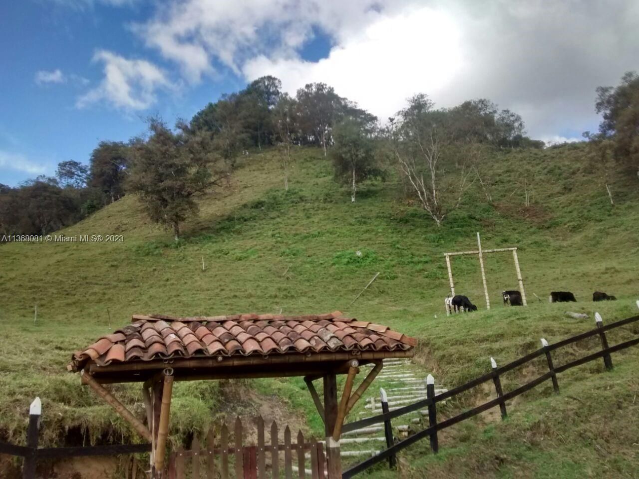 Kilometro 4 Via Salento, Toche, Quindio, , SA 00000 Photo