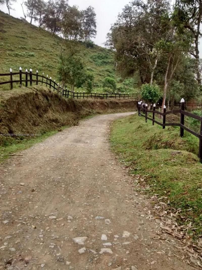 Kilometro 4 Via Salento, Toche, Quindio, , SA 00000 Photo