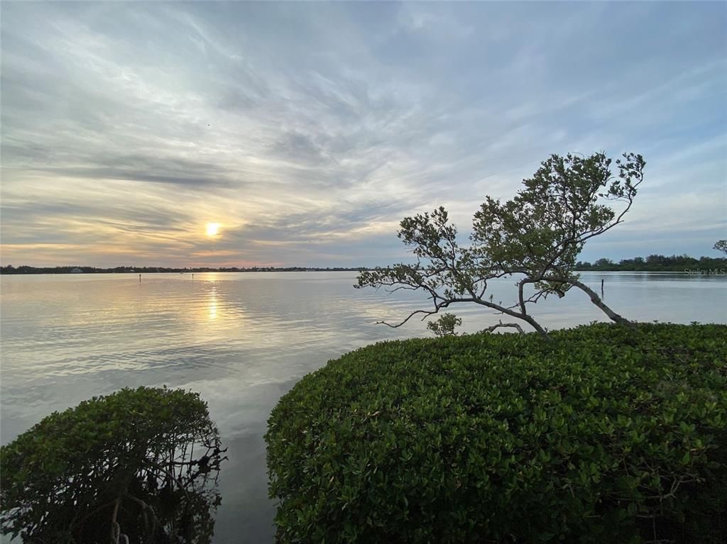 1637 Brookhouse Court, Unit BR243, Sarasota, FL 34231 Photo