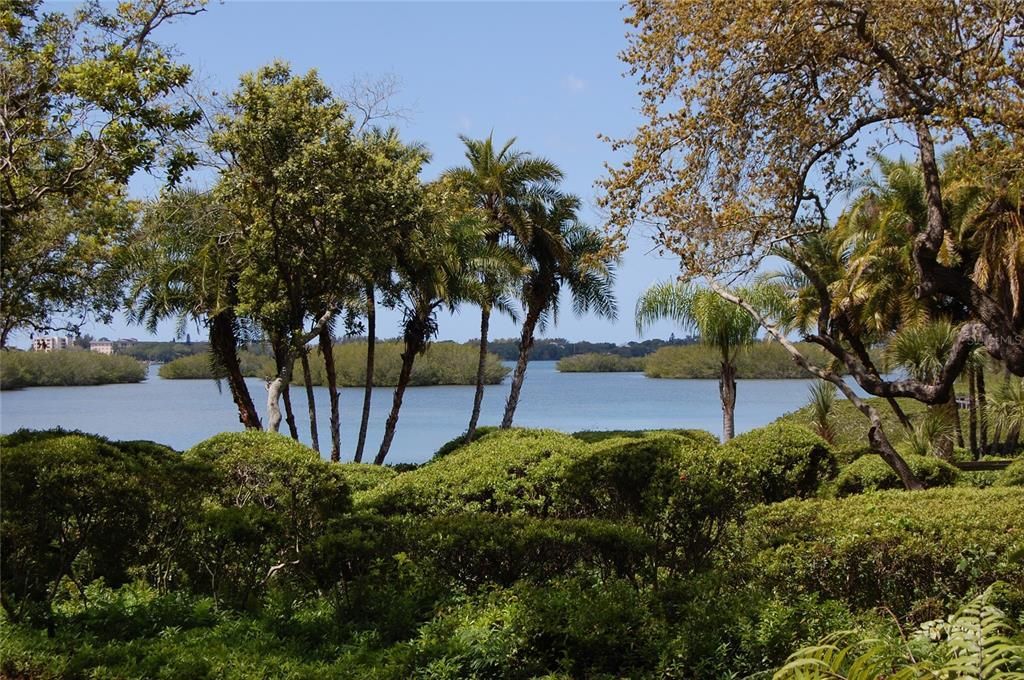 1637 Brookhouse Court, Unit BR243, Sarasota, FL 34231 Photo