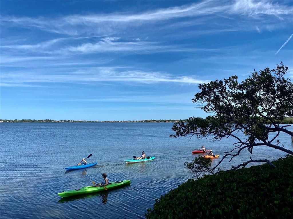 1637 Brookhouse Court, Unit BR243, Sarasota, FL 34231 Photo