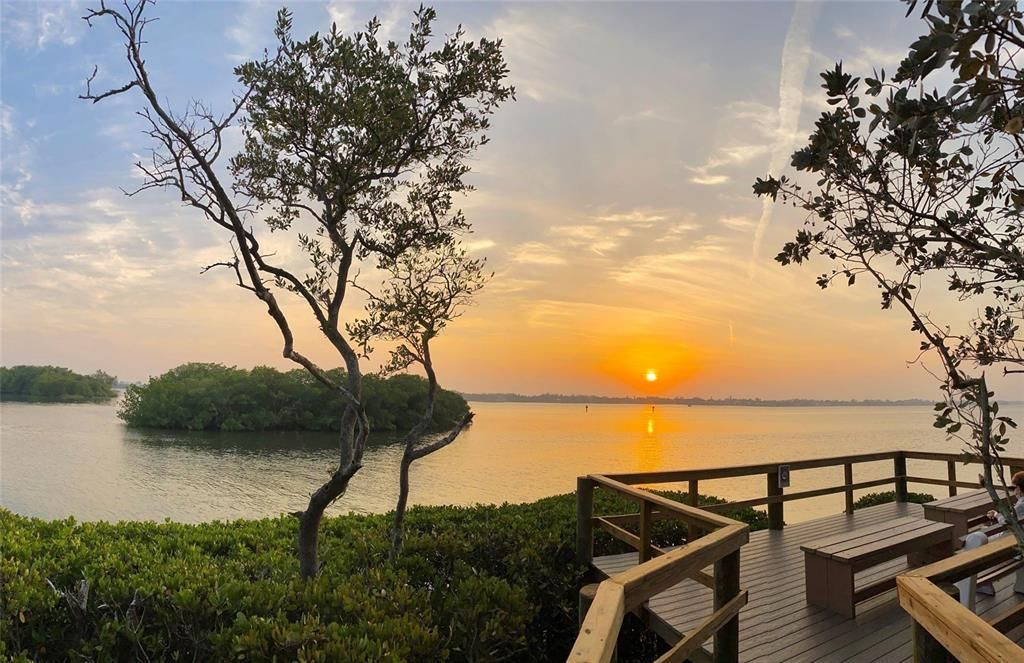 1637 Brookhouse Court, Unit BR243, Sarasota, FL 34231 Photo