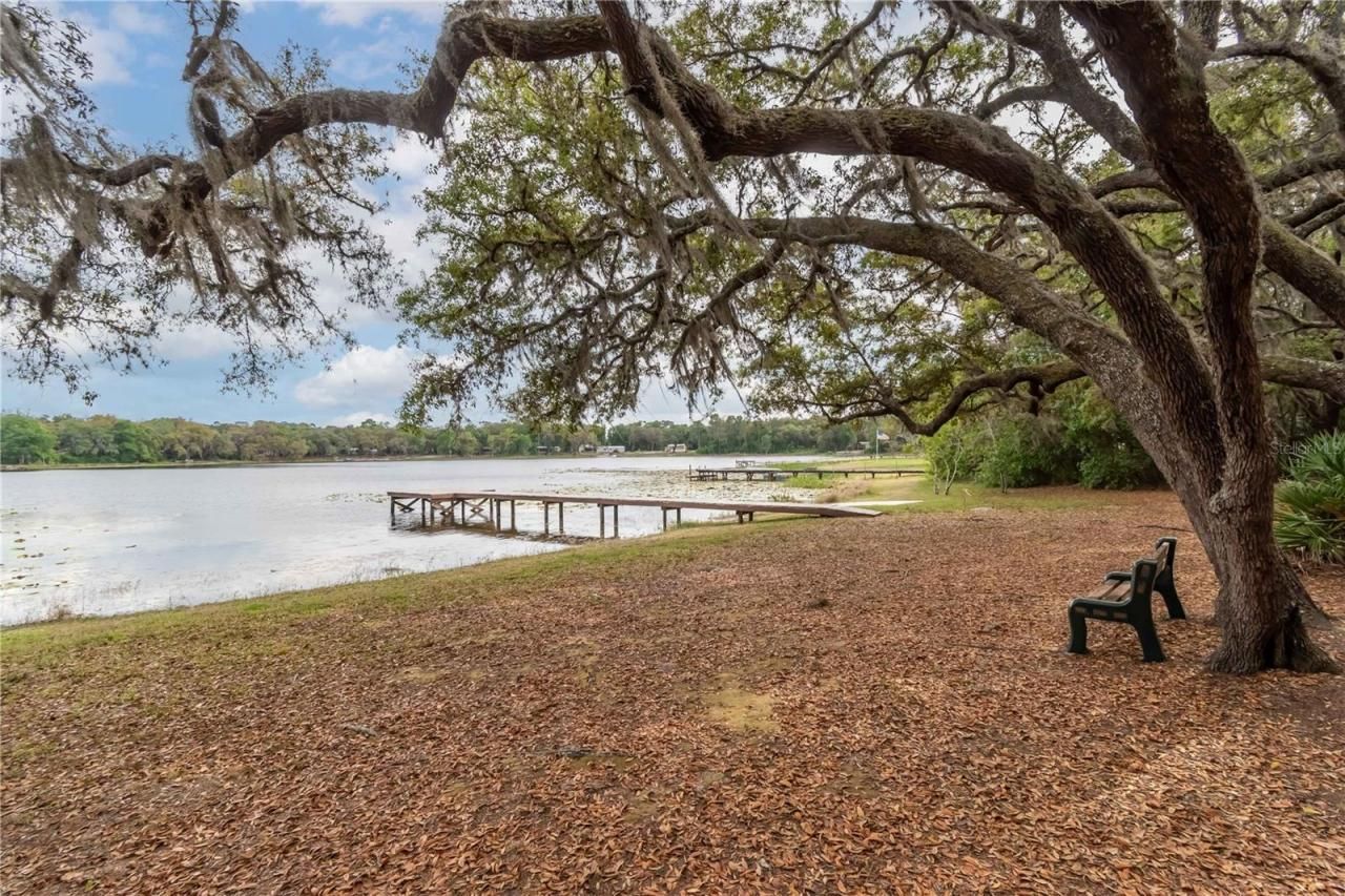 22649, 22645 And Tbd NE 105th Avenue Road, Fort Mc Coy, FL 32134 Photo