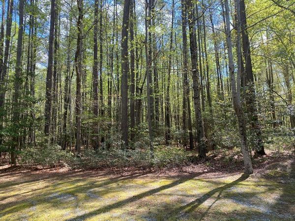 46 Eagles Trace, LANCASTER, VA 22503