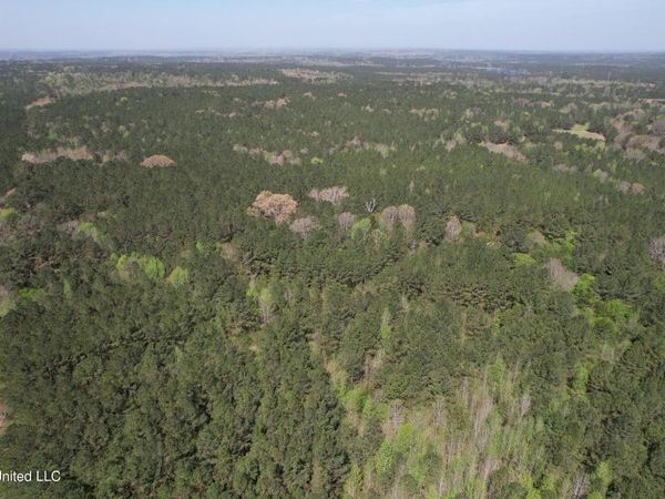 Hwy 43, Kosciusko, MS 39090