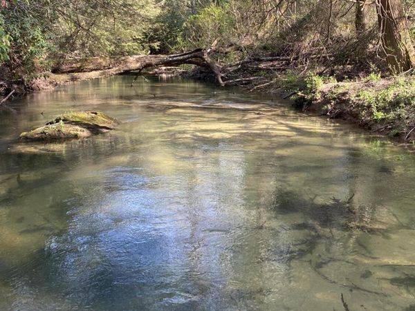 56 Tn-56, Altamont, TN 37301