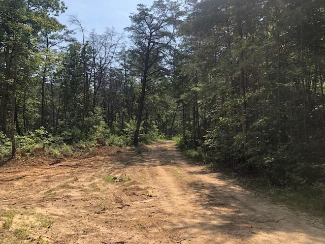 026 Dogwood Flat Road, Pikeville, TN 37367 Main Photo